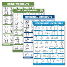 Listing image for Palace Learning 4 Pack - Cable Machine Workout Posters 18" x 24", LAMINATED