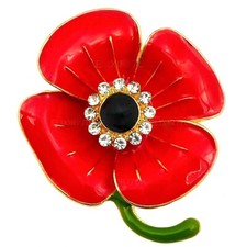 Listing image for New Red Crystal Enamel Pin Brooches for Women UK Ladies Dress Art Deco Gold Plt